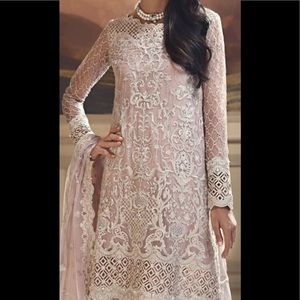 Pakistani women embroidered chiffon dress